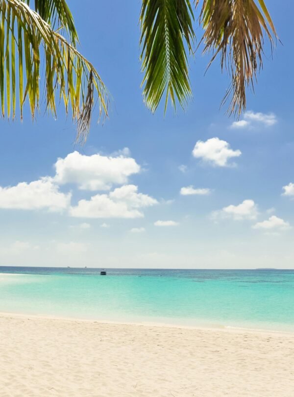 Hoceïma beach