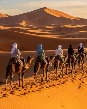 Camel Riding