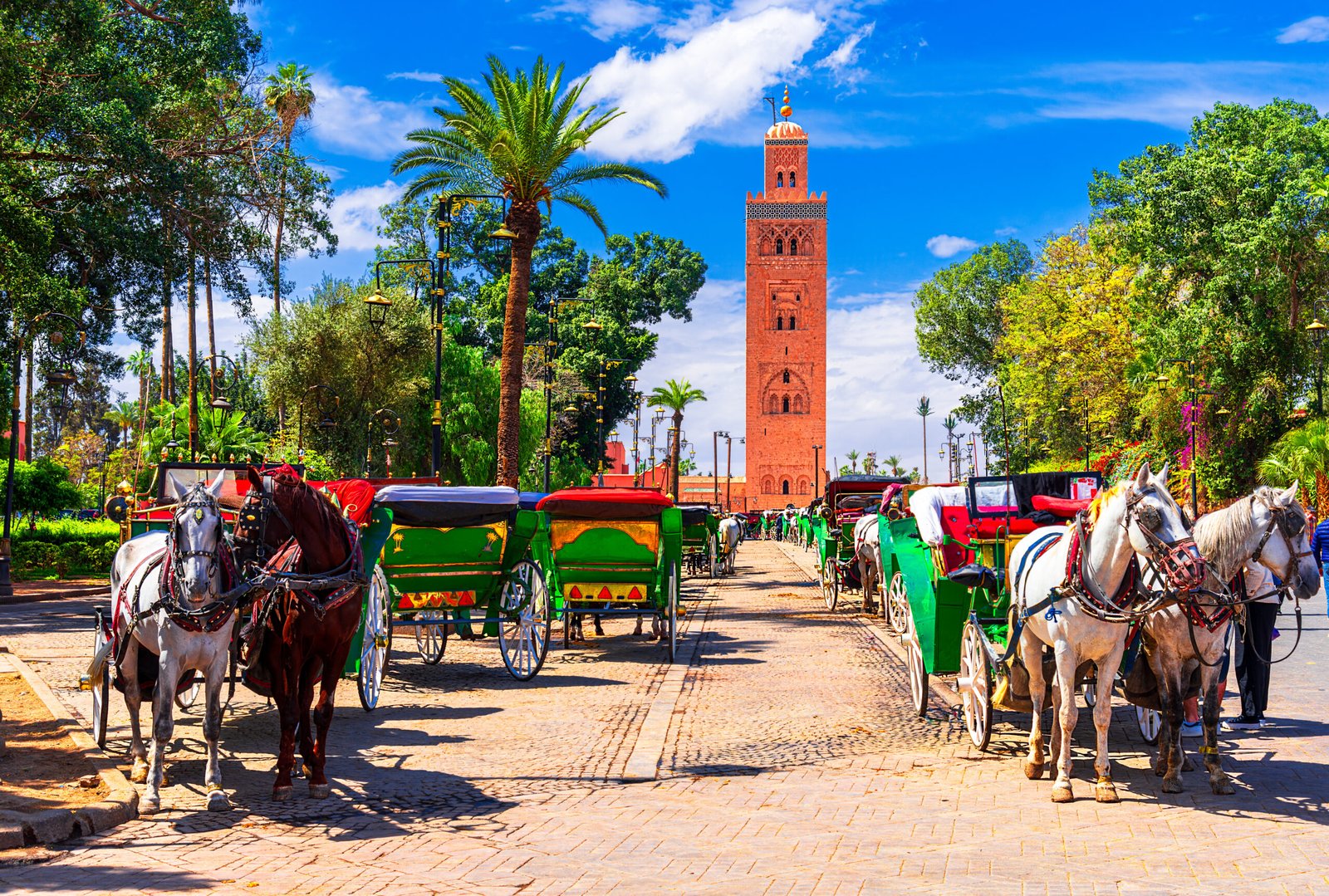 Fast modern Morocco train crossing coastal plains