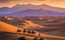 Marrakech tours camel caravan crossing golden Sahara dunes at sunset with Atlas Mountains backdrop