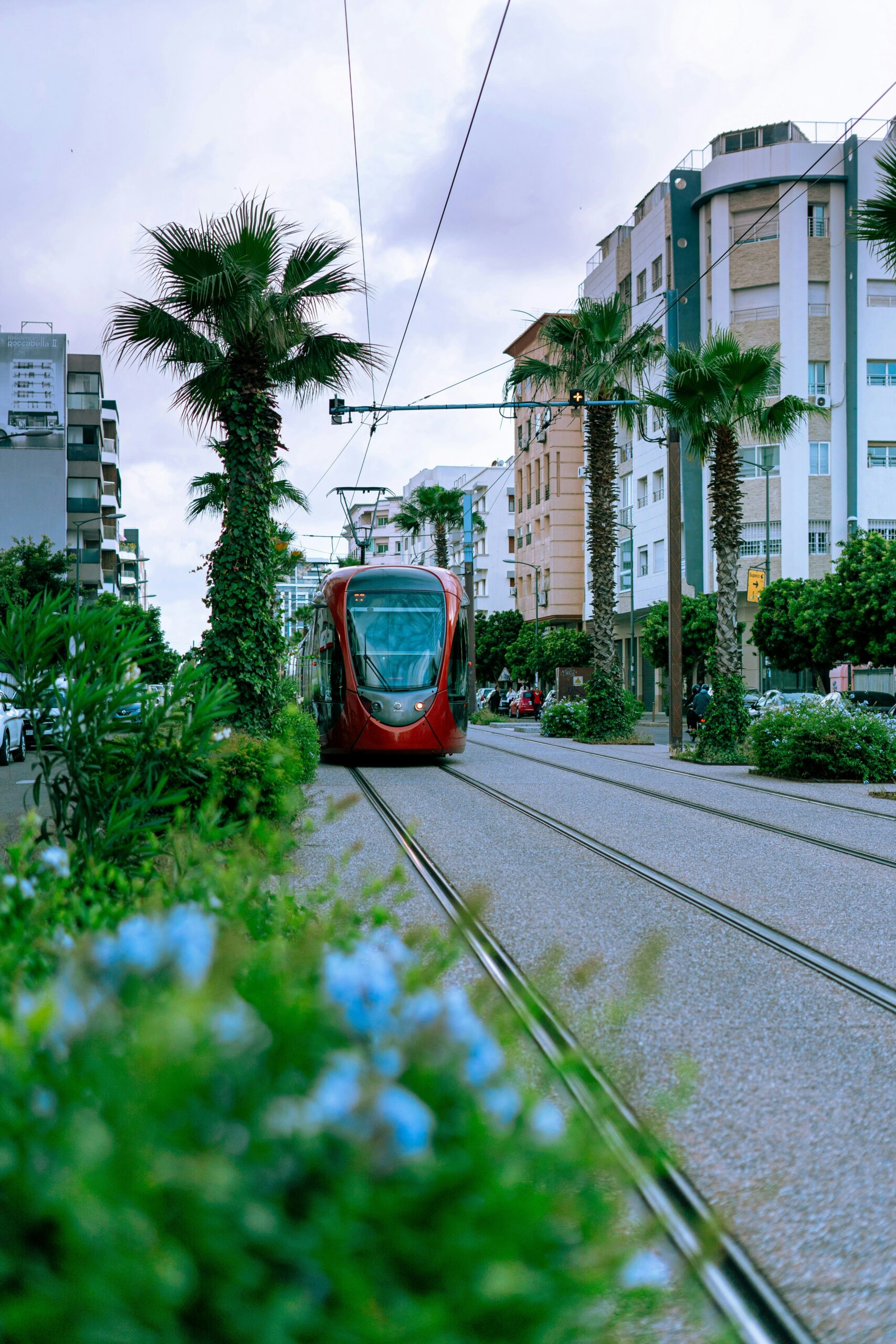 A red train traveling down the tracks in a city, surrounded by palm trees and buildings, Casablanca View