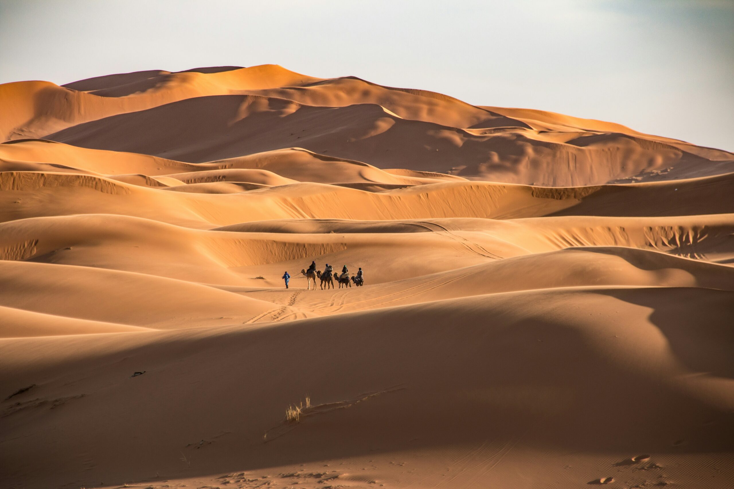 Golden sand dunes of Erg Chebbi near Merzouga, Morocco at sunset