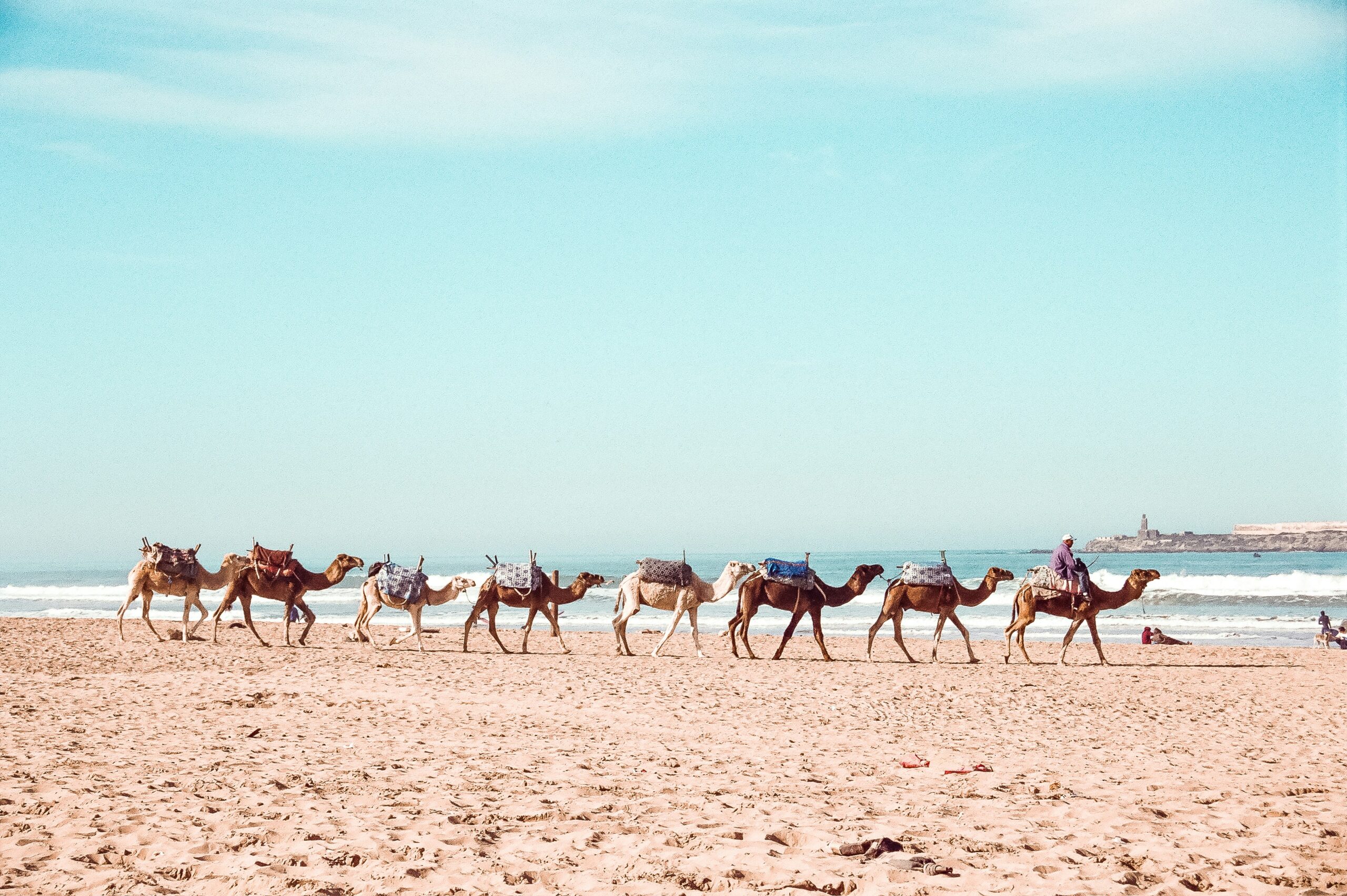 Essaouira Atlantic beach stretching south from the medina walls with wide sandy shore and dunes